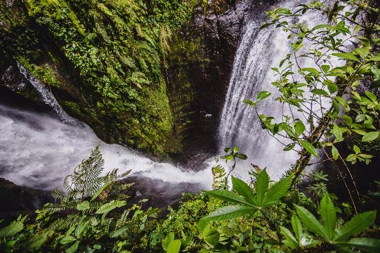 Jardín, Antioquia - How to get, hotels and restaurants in Jardín, Colombia